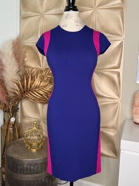 Diane Von Furstenberg Royal Blue Sheath Dress with Fuchsia Panels